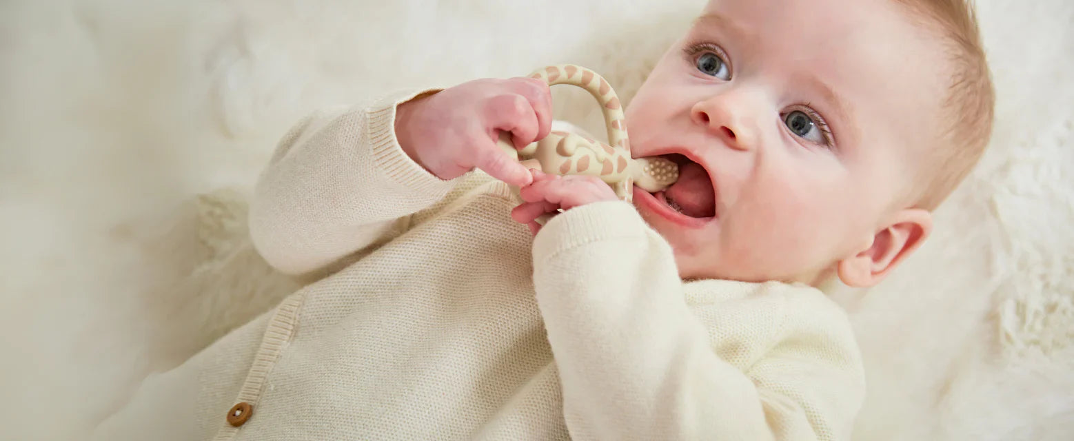 Animal Teethers