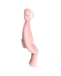 Matchstick Monkey Pig Teether view 3
